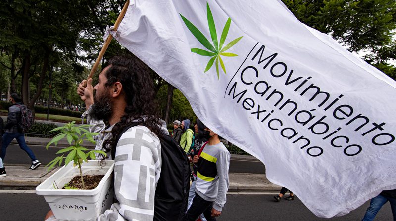  México despenaliza el consumo lúdico de marihuana pero no su comercialización