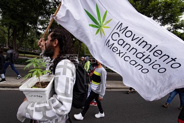  Los consumidores lúdicos de marihuana aguardan decisión del Supremo de México