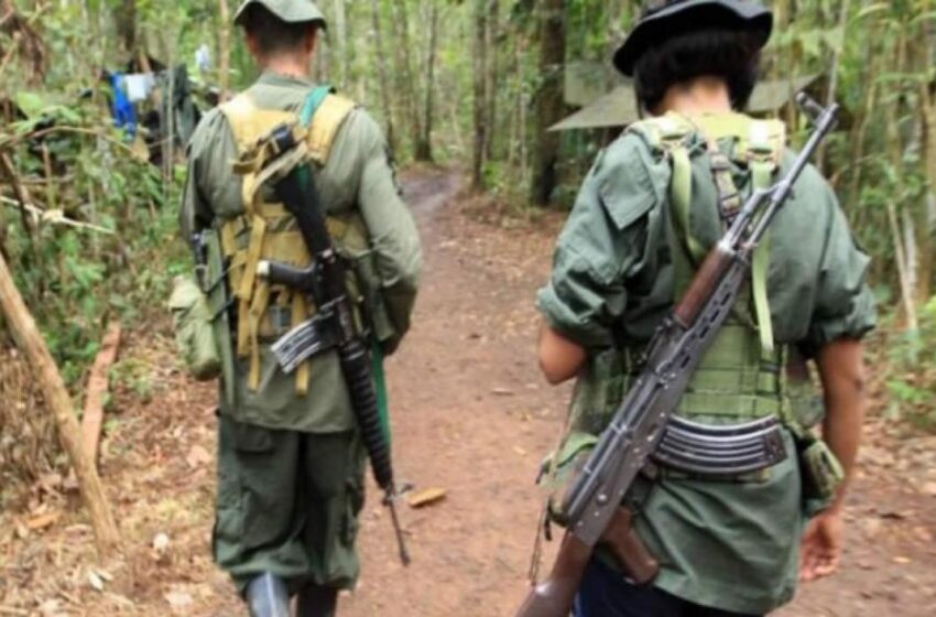  Disidentes de las FARC asesinan a seis indígenas en Venezuela, denuncia ONG