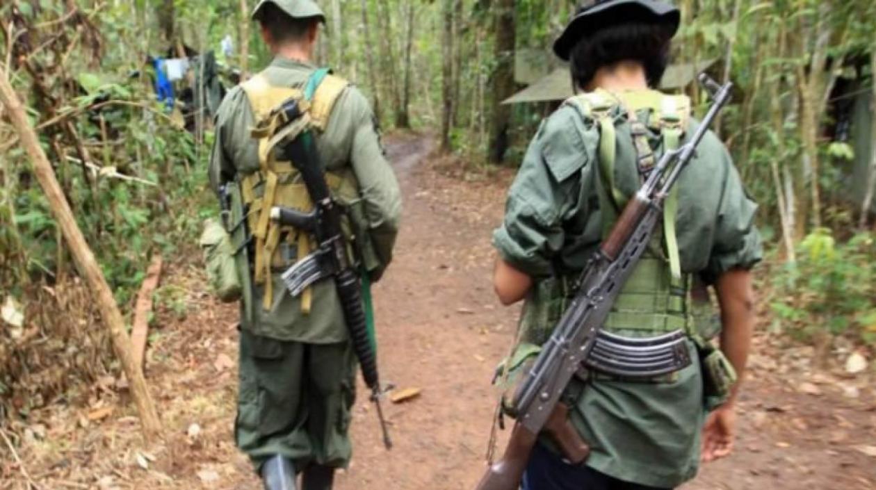 Disidentes De Las FARC Asesinan A Seis Indígenas En Venezuela, Denuncia ...