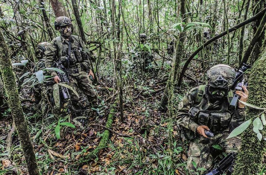  En la selva el ejército le pisa los talones a Gentil Duarte