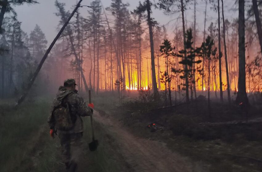  Los incendios forestales abarcan en Rusia más de 1,5 millones de hectáreas .