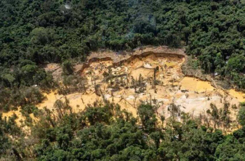  La Amazonía brasileña sufre con el avance de la minería, principalmente ilegal