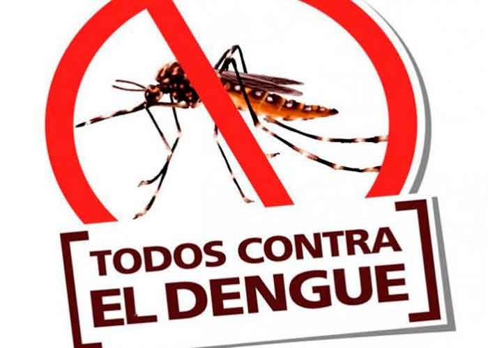 En el Día Internacional del Dengue, los médicos señalan los peligros de esta enfermedad