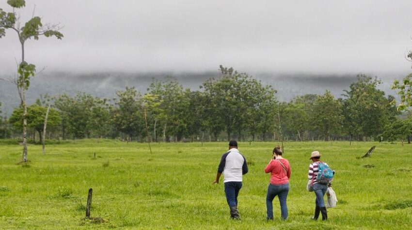  Con garantía de la Fuerza Pública se reanuda el trabajo de restitución de tierra en Mesetas y Uribe