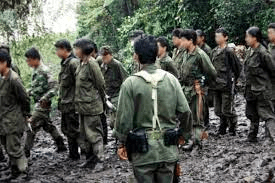  Justicia de Paz establece que FARC reclutaron a 18.677