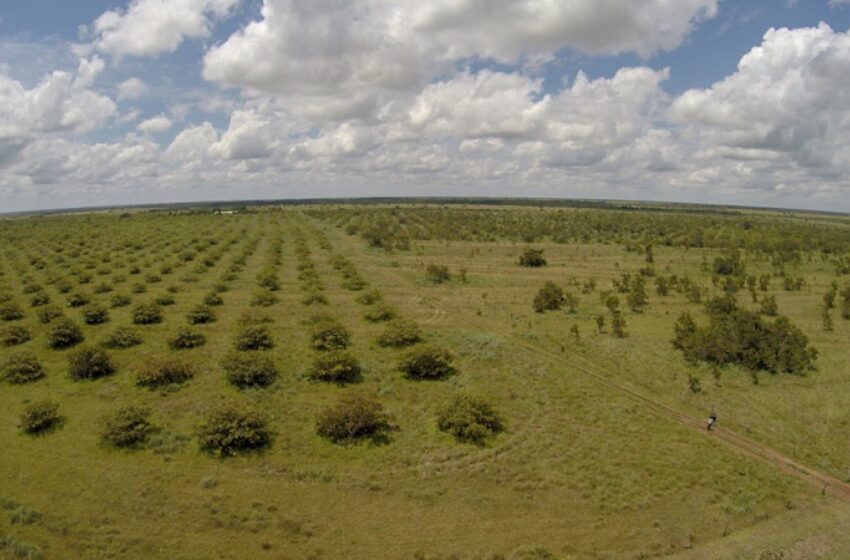  En el Meta y el país se requiere una política seria en materia de tenencia y aprovechamiento de la tierra