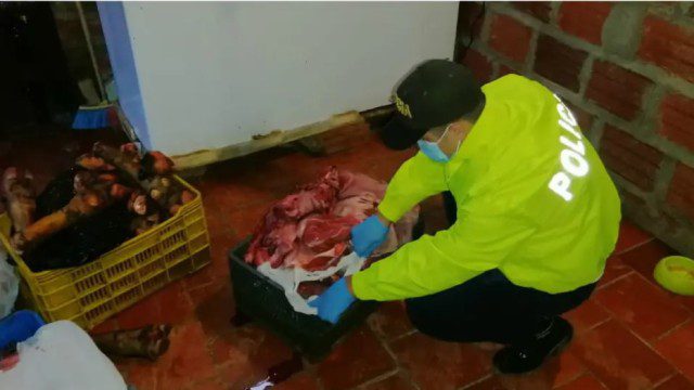  Policía incautó más de media tonelada de carne de contrabando