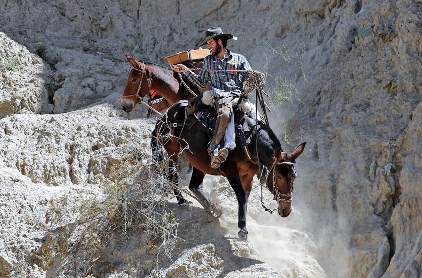  La travesía de un colombiano que recorre en mula la antigua ruta Qhapaq Ñan