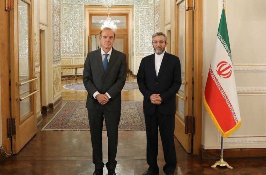  Irán y la UE anuncian reinicio de negociaciones nucleares a finales de mes