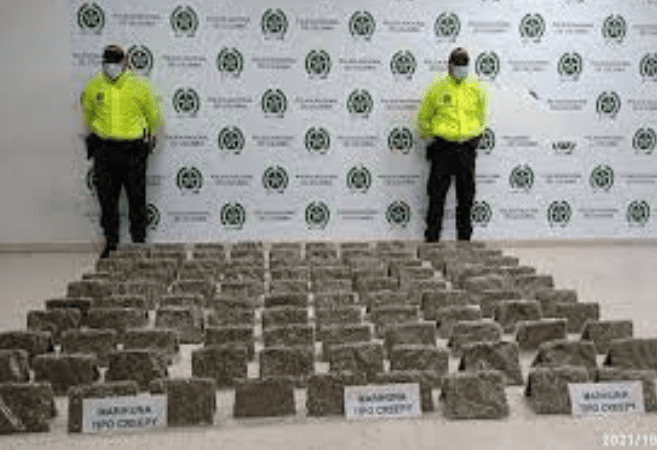  En allanamiento incautaron 99 bloques prensados de marihuana cripy en Villavicencio