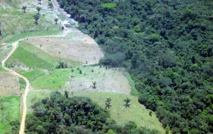  Imputan cargos a disidentes de las FARC por delitos contra el medio ambiente