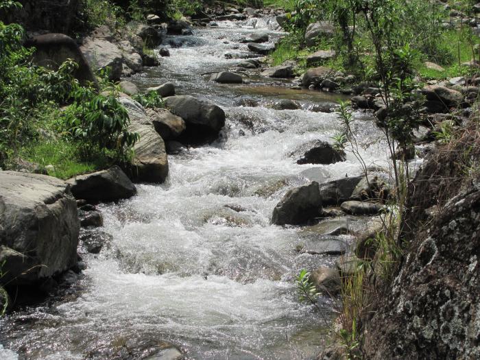  Administración municipal pretende seguir adquiriendo predios para conservar fuentes hídricas