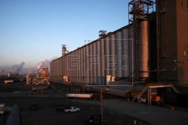  Tate&Lyle – Tate & Lyle elimina el uso de carbón en todas sus operaciones
