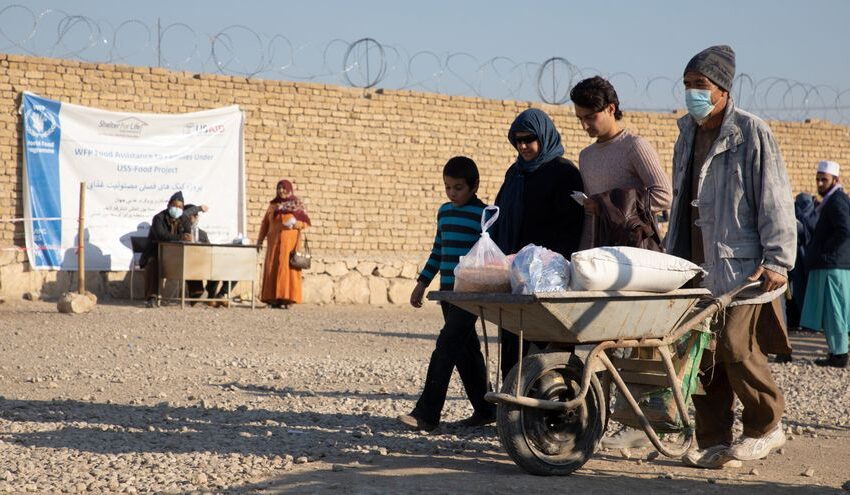  La ONU reclama fondos para evitar el hambre de 3,2 millones de niños afganos