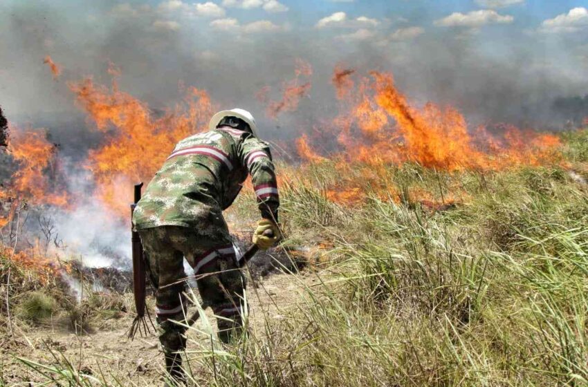  Alcalde en Cumaribo decretó calamidad pública por incendio forestal en el parque natural el Tuparro