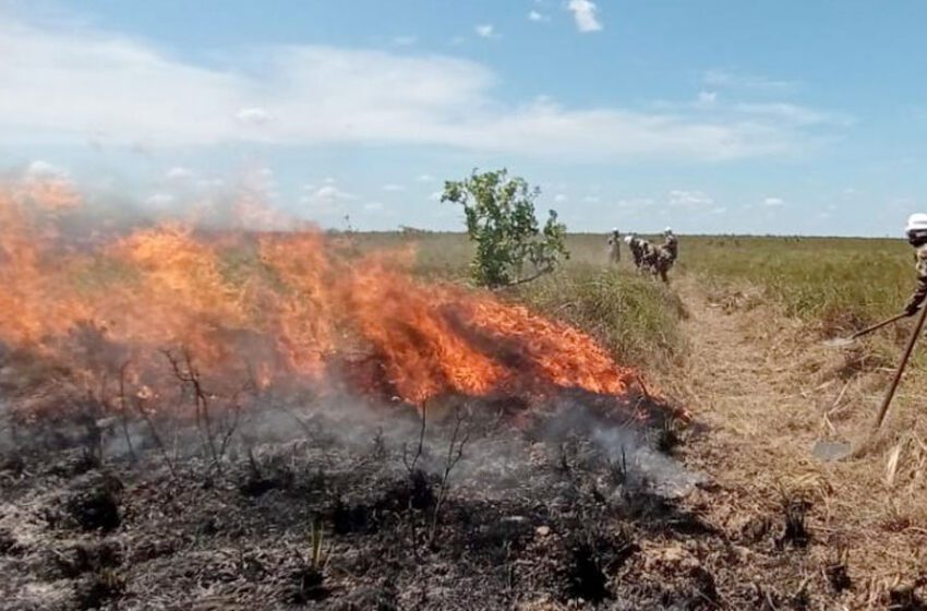  Incendio arrasa unas 41.000 hectáreas de parque natural El Tuparro en Vichada