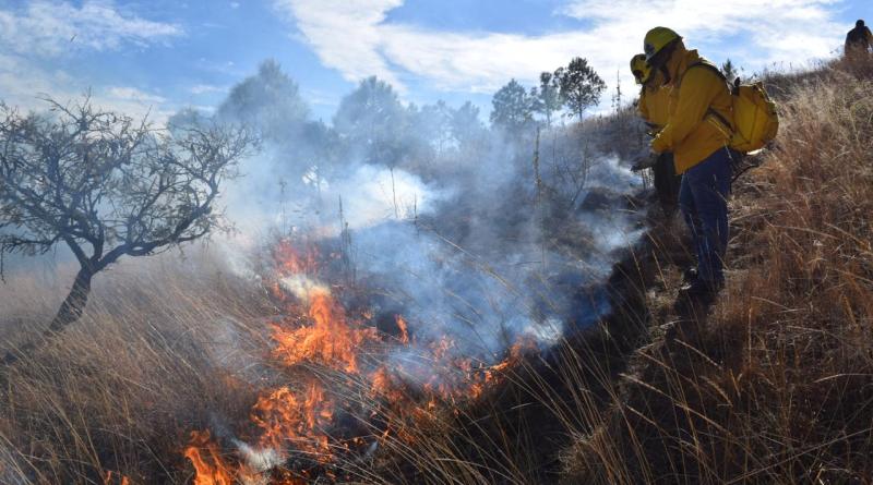  Campañas preventivas contra incendios forestales en el Meta