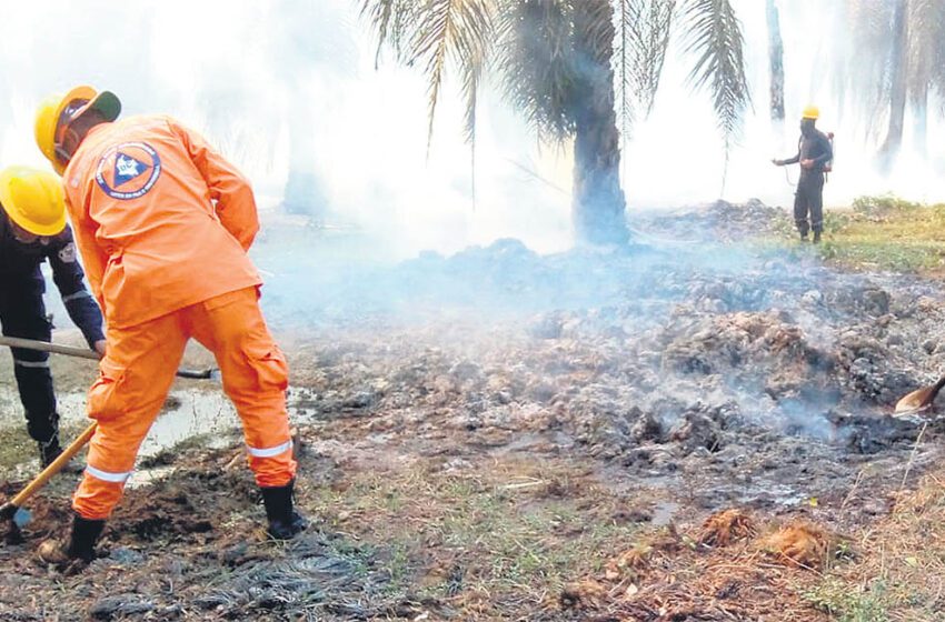  Nuevo y urgente llamado de la Defensa Civil para evitar los incendios forestales
