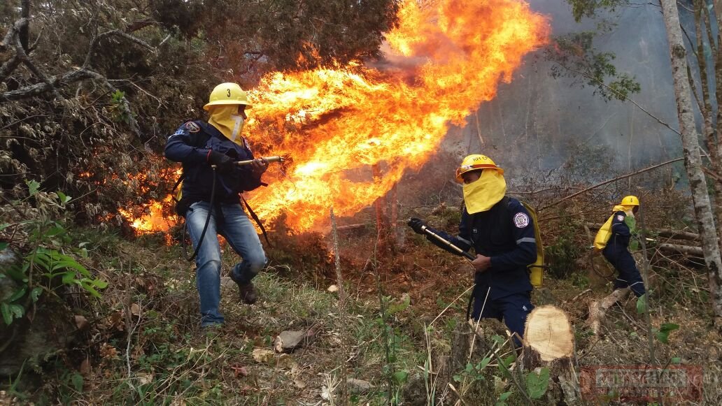  Los incendios tienen avance destructivo en Casanare.