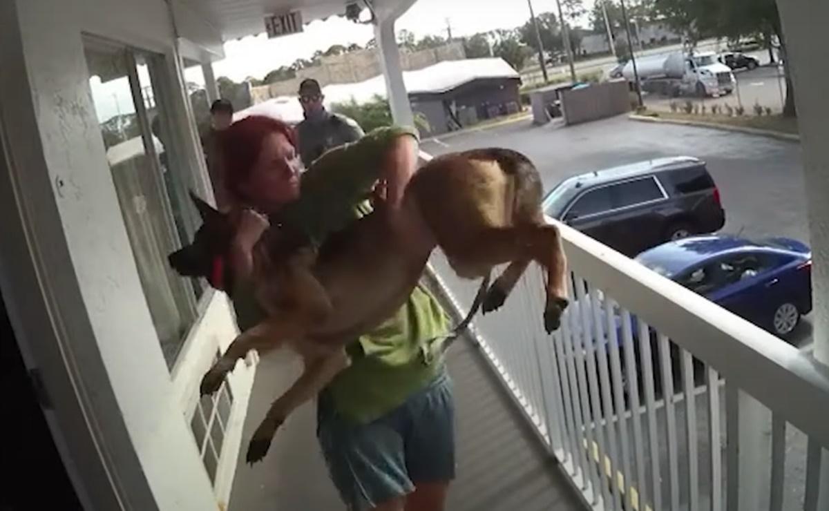  Arrestan a una mujer que arrojó a su perro desde un séptimo piso en Florida.
