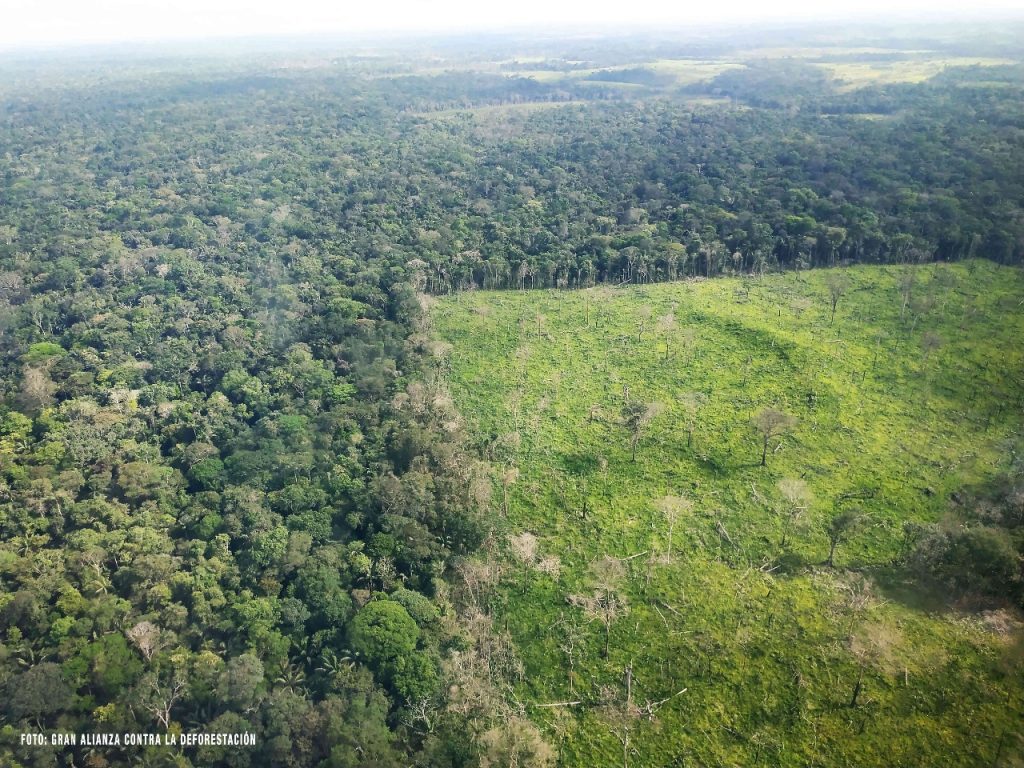  En el Meta, Guaviare y Caquetá aumenta la desforestación y lo prometido por el gobierno no se cumple