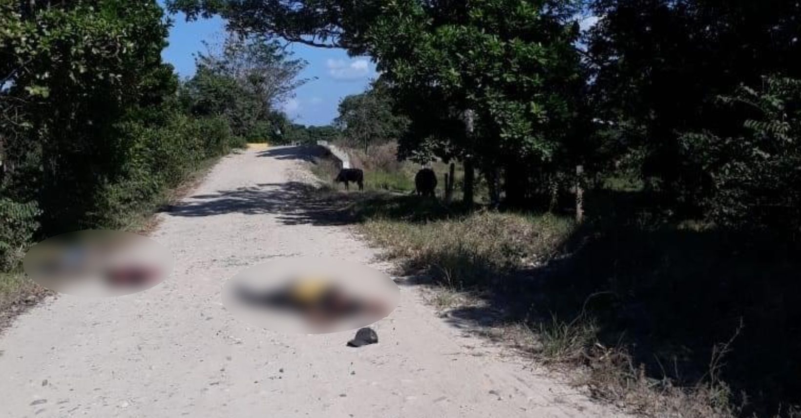 Masacre en Arauca cuatro personas entre ellas dos niños, fueron asesinadas