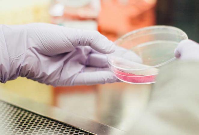  Becada con $100.000.000 científica residenciada en Restrepo que investigará genética contra las malezas