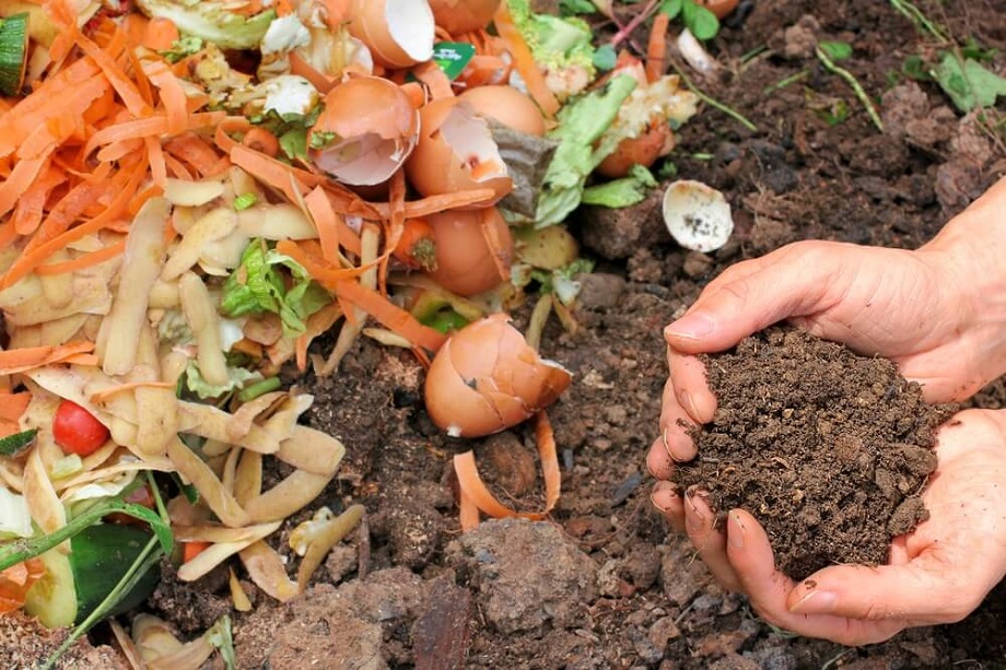  Preparan grupos ciudadanos para convertir residuos en abono para huertas caseras