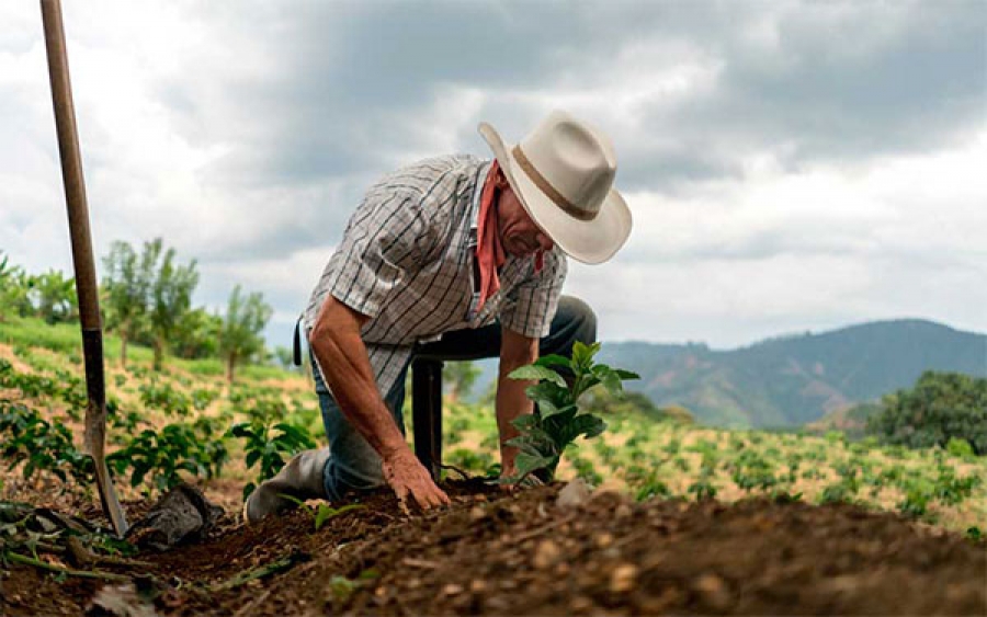  Estamos abandonados y esperamos soluciones, señalan campesinos del Meta