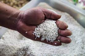  Concertaron los precios del arroz para la próxima cosecha en el Meta