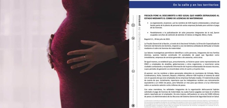  Fiscalía ocupó bienes en Meta, Bogotá y Huila, de personas que defraudaron a la Nación con falsas licencias de maternidad