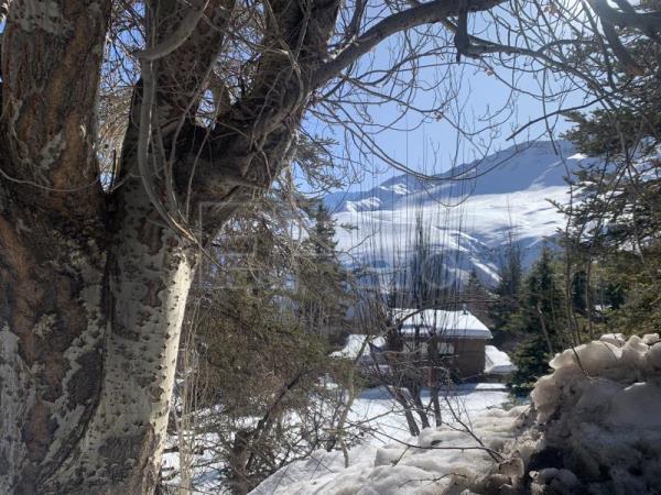 Con nieve y lluvia, Chile vive su invierno más húmedo en un lustro