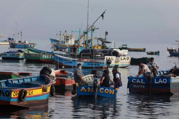 PERÚ PESCA – Pescadores peruanos quieren duplicar las exportaciones para el consumo humano