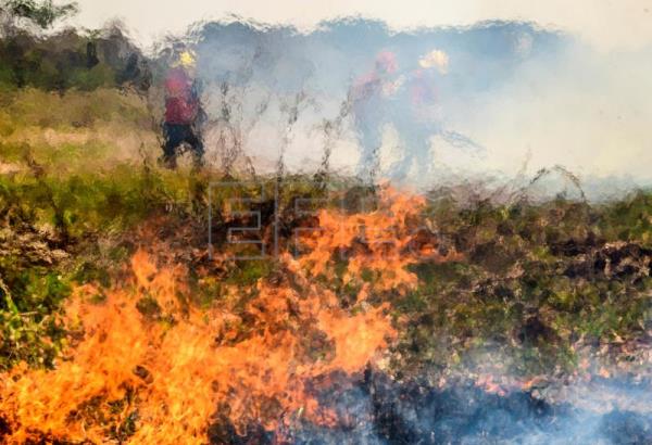  BOLIVIA INCENDIOS – El Gobierno boliviano reporta 299.503 hectáreas afectadas por incendios en 2022