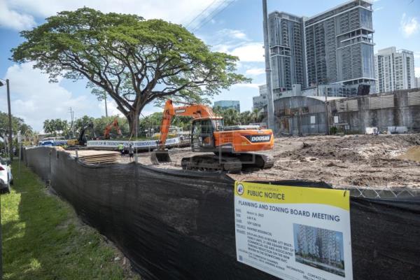  EEUU MEDIOAMBIENTE – Un centenario árbol de Florida amenazado por una construcción es trasplantado