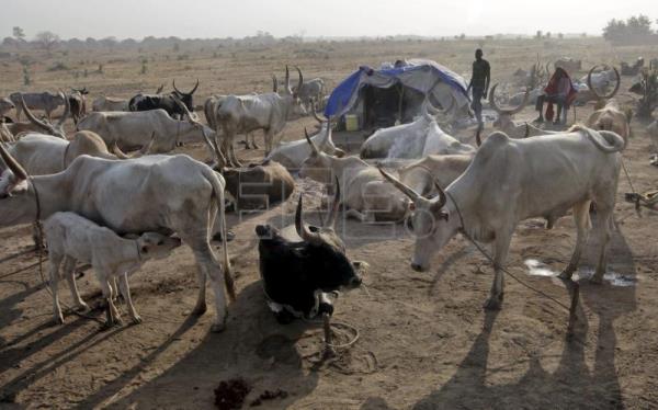 SUDÁN CHAD – Un grupo armado de Chad mata a 17 pastores nómadas sudaneses
