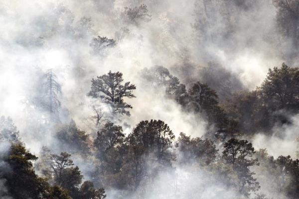  EEUU INCENDIOS – Mueren dos personas que trataban de huir de un incendio en California