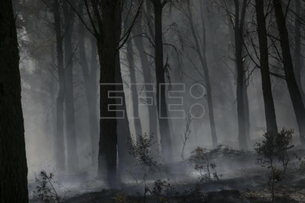 Varios incendios queman más de 16.000 hectáreas en España en los últimos días