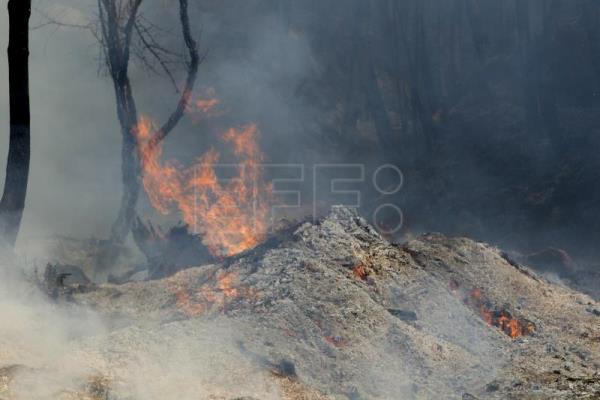  ESPAÑA INCENDIOS – Rayos e imprudencias, principales causas de los fuegos que arrasan España