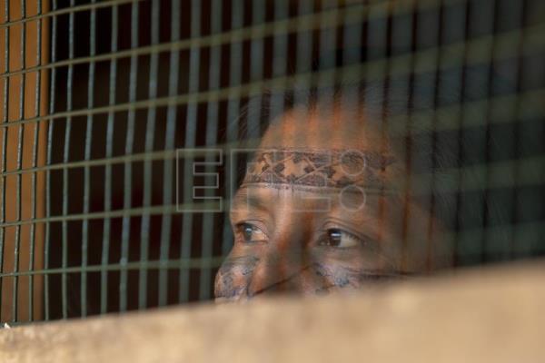 Las mujeres de Sarayaku se pintan de fiesta y de guerra con wituk y achiote