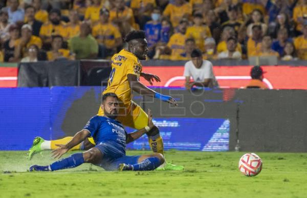 El Necaxa empata con los Tigres y les impide saltar al liderato en México