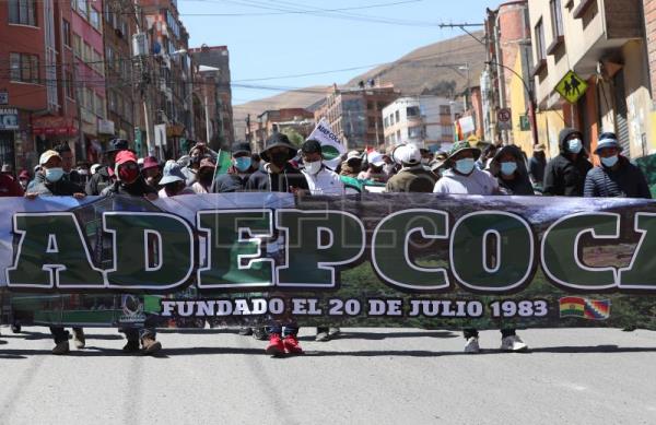  BOLIVIA COCA – Cocaleros nuevamente marchan exigiendo el cierre de un mercado en Bolivia