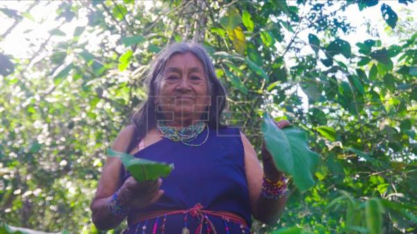 La reserva Tiwi Nunka, un hito indígena para conservar la Amazonía de Ecuador