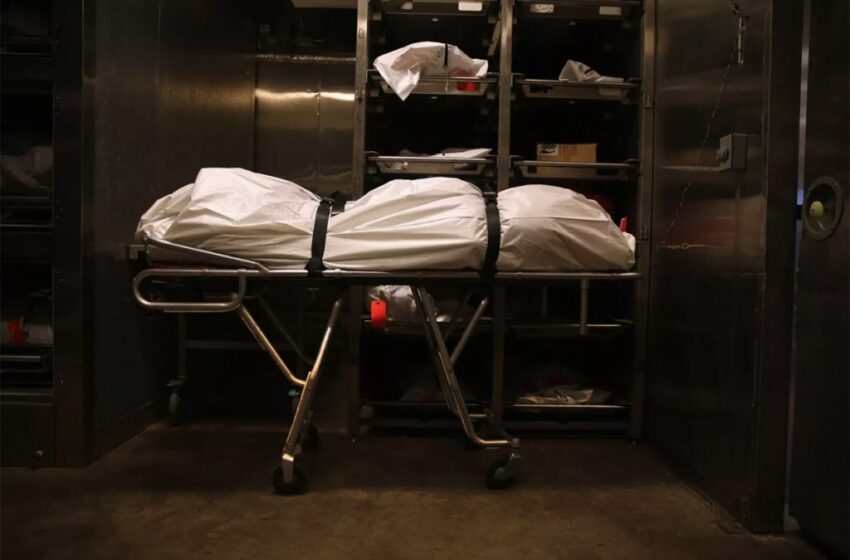  En morgue de Medicina Legal cuerpo de un hombre hallado en un lote detrás de edificios Amarilo vía a Catama