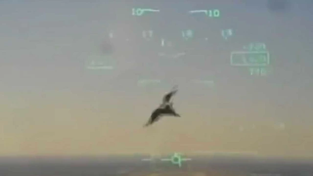  Un pájaro derribó a un avión militar en Texas