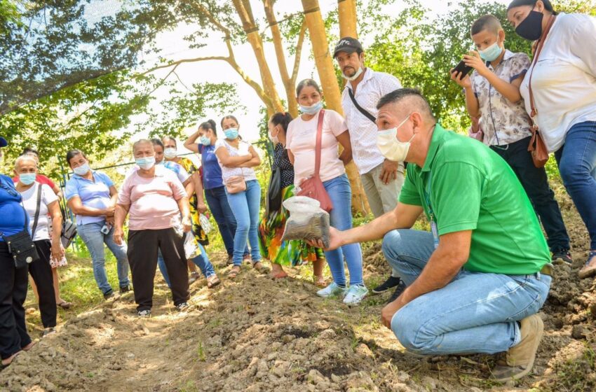  Con huertas caseras, Cormacarena impulsa la seguridad alimentaria para más de 150 familias en Villavicencio