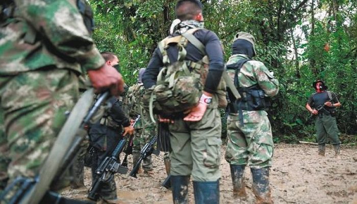  Sangrientos combates del ELN y las Disidencias dejan 700 campesinos confinados