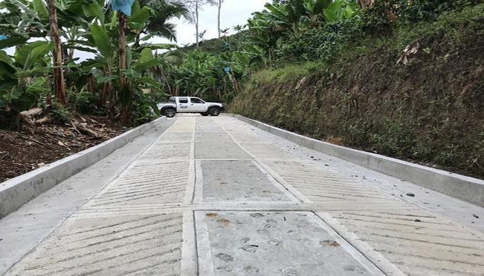  En Concordia les dan salida a los cultivadores con sus productos