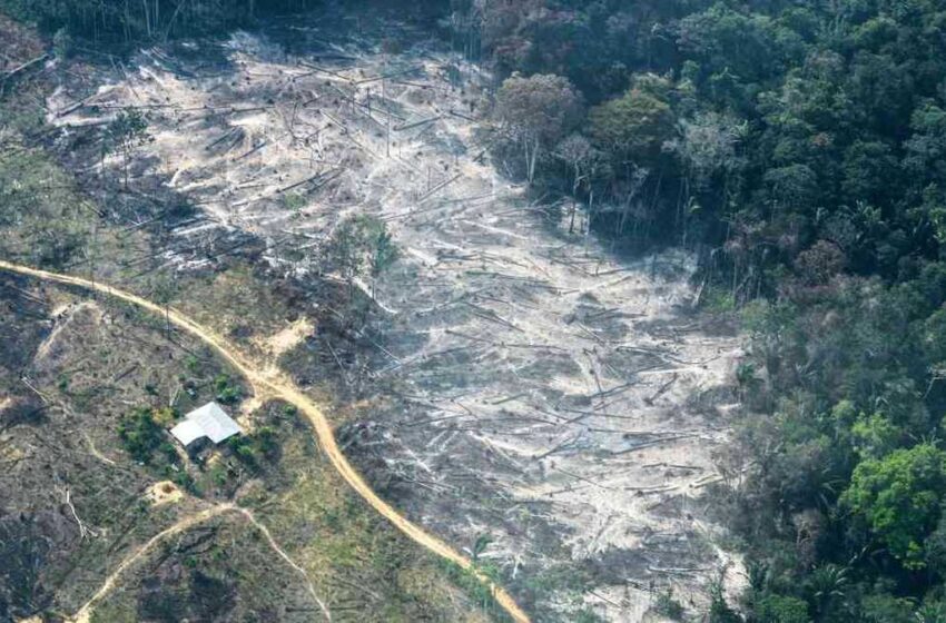  Autoridades asumen compromiso de reducir la deforestación amazónica
